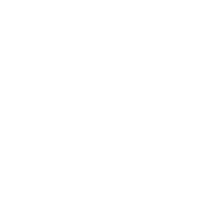 26.02.2020 Über uns Werte Icon Positive Einstellung