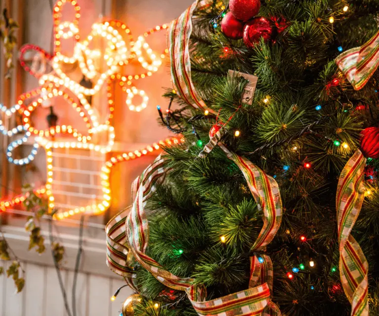 25.22.2020_Was zahlt die Versicherung-Weihnachtsbaum